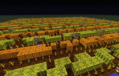 Huge Fruit Farm