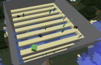Slime Farm