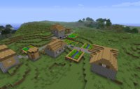 Natural Village