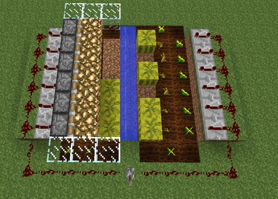 Improved melon farm